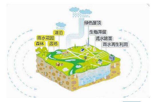 海绵城市建设 工程项目管理
