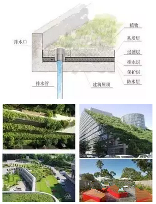 海绵城市建设