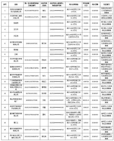 政府项目